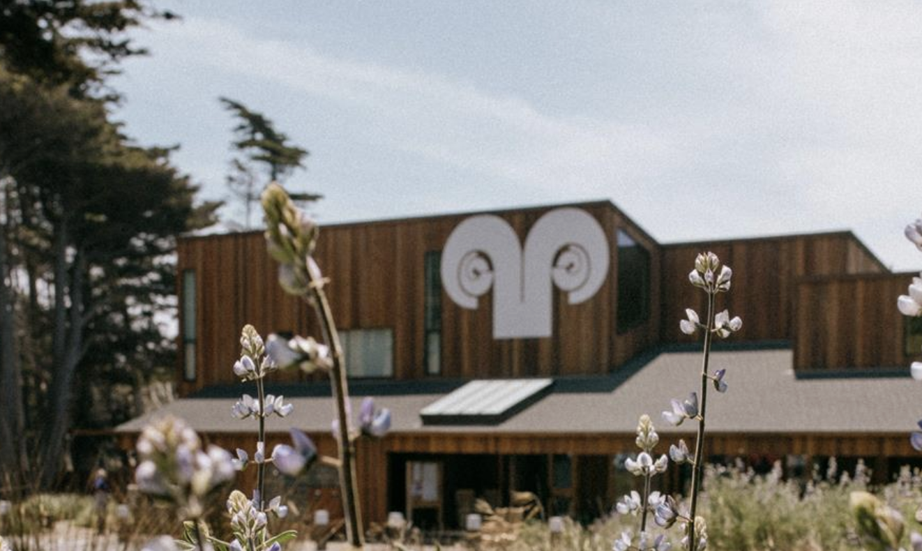 The Sea Ranch Lodge — modern wood building with ram logo, wildflowers and cypress trees in foreground